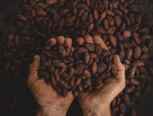 'Chocolate Scorecard' highlights supply chain ethics