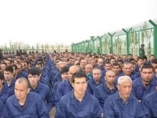 Uyghur Forced Labor Protection Act & US supply chains